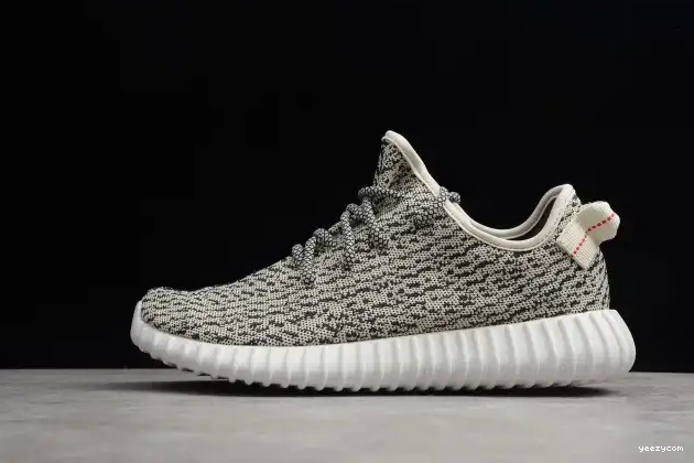 Dove YEEZY Adidas Turtle 350 Boost AQ4832 0507